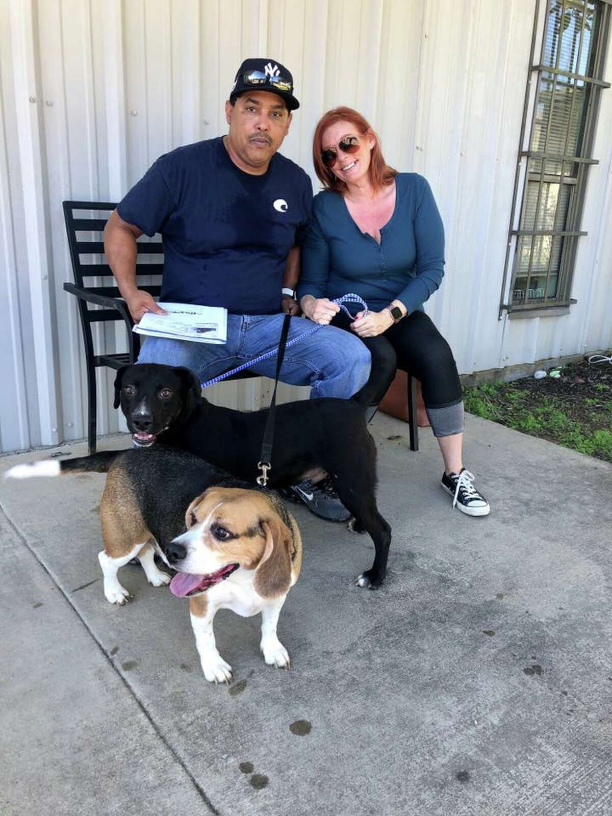 Houston Pets Craigslist - 8s9tyrf
