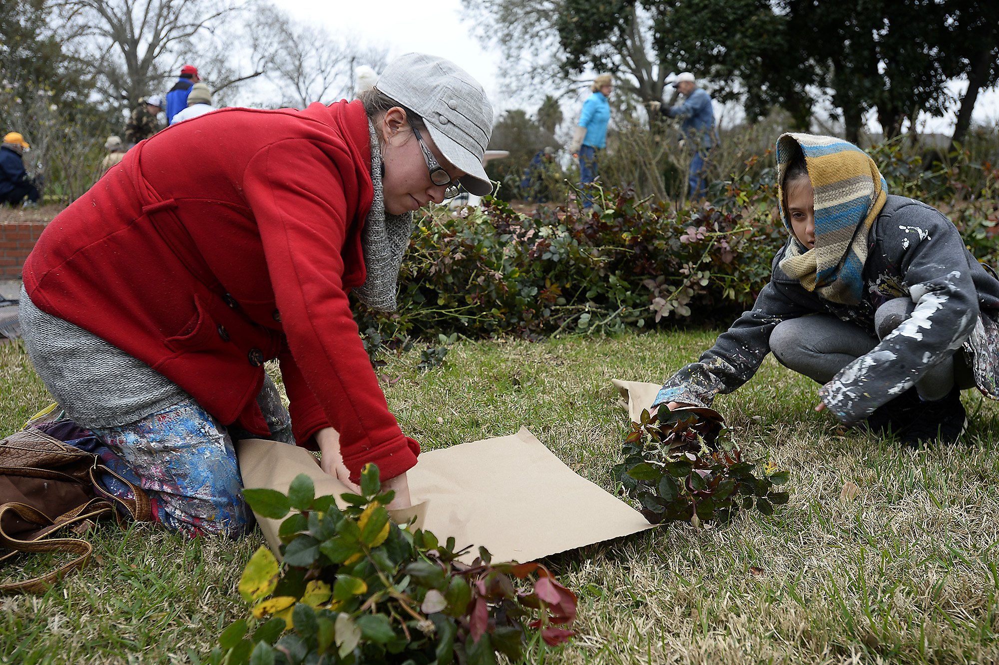 When Is The Best Time To Prune Roses   RawImage 