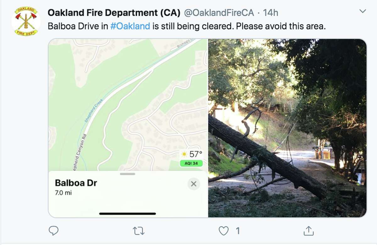 The Oakland Fire Department shared images on Twitter of the impacts of high winds in the East Bay on Feb. 9, 2019.