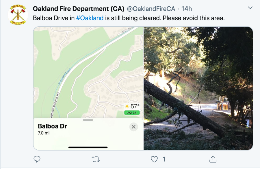 Bay Area winds blow at over 80 mph, knock over trees