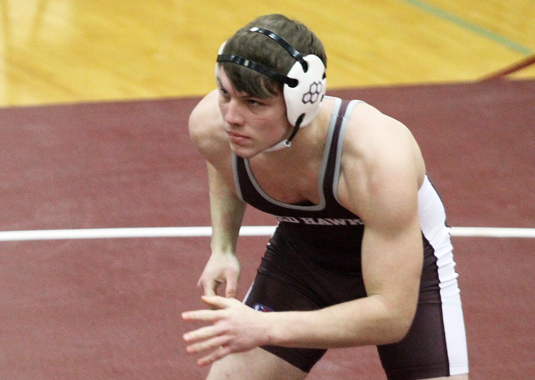 Cass City wrestler headed to state finals at Ford Field