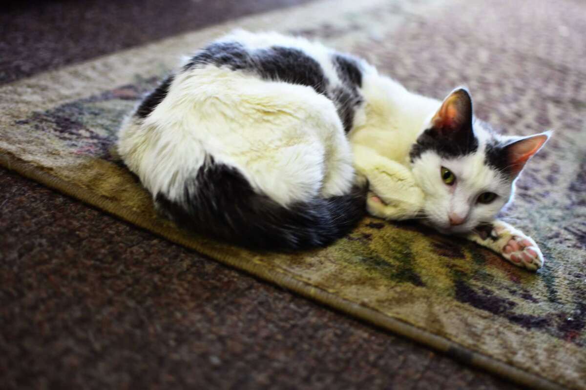 Hidden spots and secrets of Rensselaer A deep dive