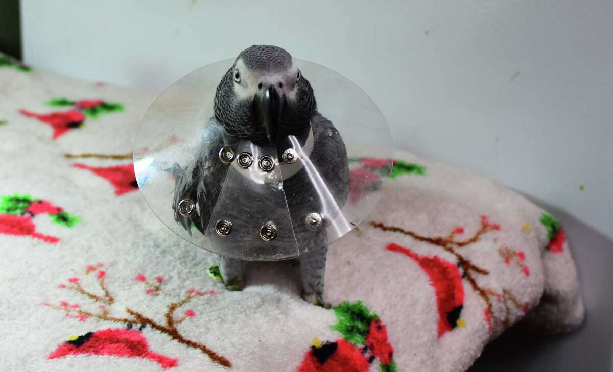 Hidden spots and secrets of Rensselaer A deep dive