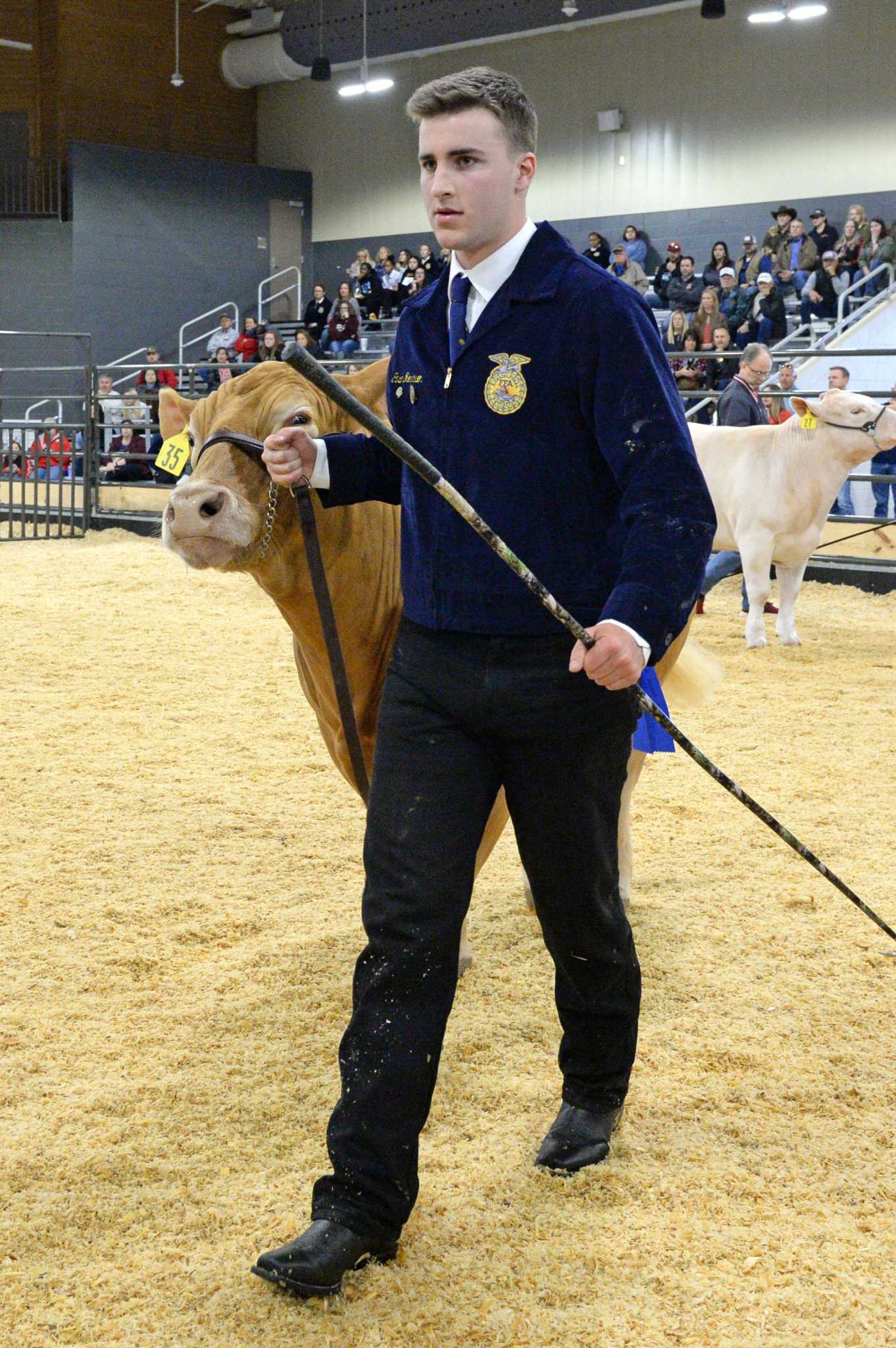 Katy ISD FFA exhibitors raise more than $581,000