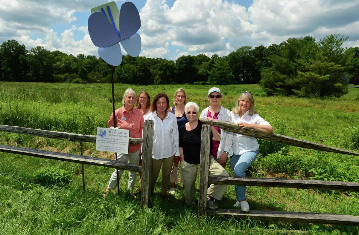 Pollinator Pathway supporters, Louise Washer, director of the Norwalk Watershed Association, Jana Hogan, Liz Craig, Donna Merrill, executive director of the Wilton Land Conservation Trust, Jackie Algon, Kimberly Stoner, who works in the Department of Entomology at the Connecticut Agricultural Experiment Station, and Mary Ellen Lemay, chairman of the Trumbull Conservation Commission, at Keeler Ridge Meadows Wednesday, July 24, 2019, in Wilton, Conn.