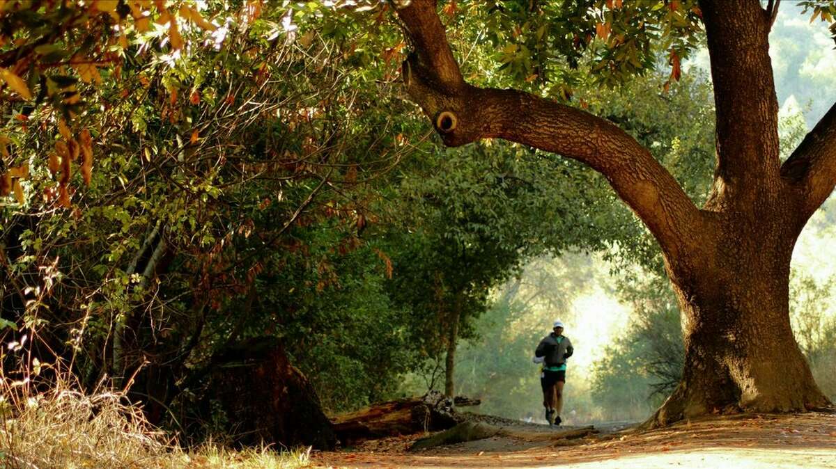 A man runs along a trail at Rancho San Antonio Park.
