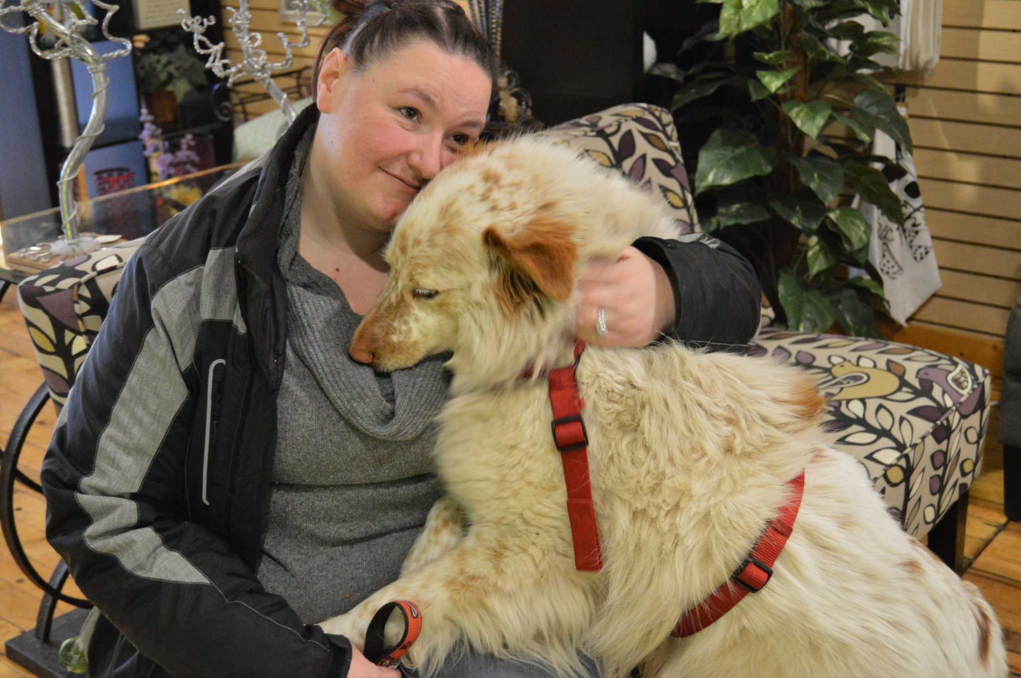 Dog to be reunited with California owner after two years missing