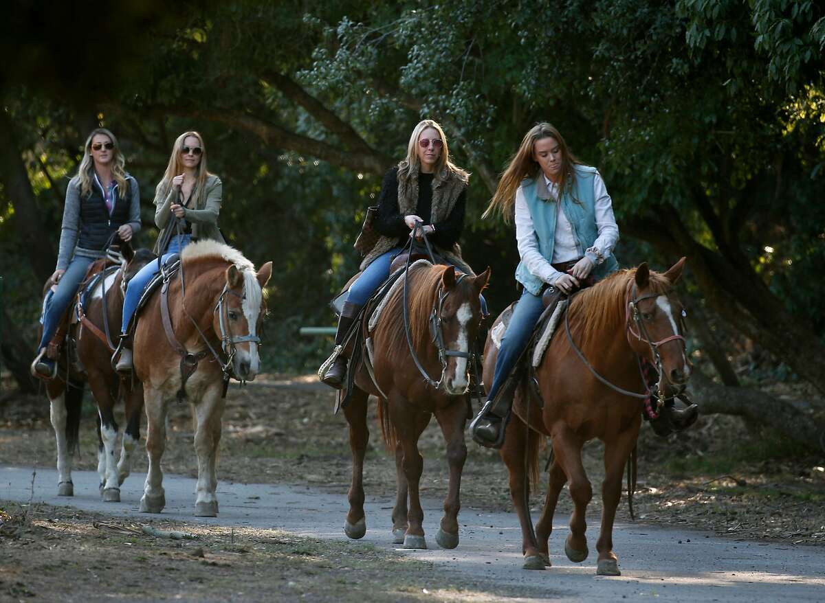 SF must protect horses in Golden Gate Park