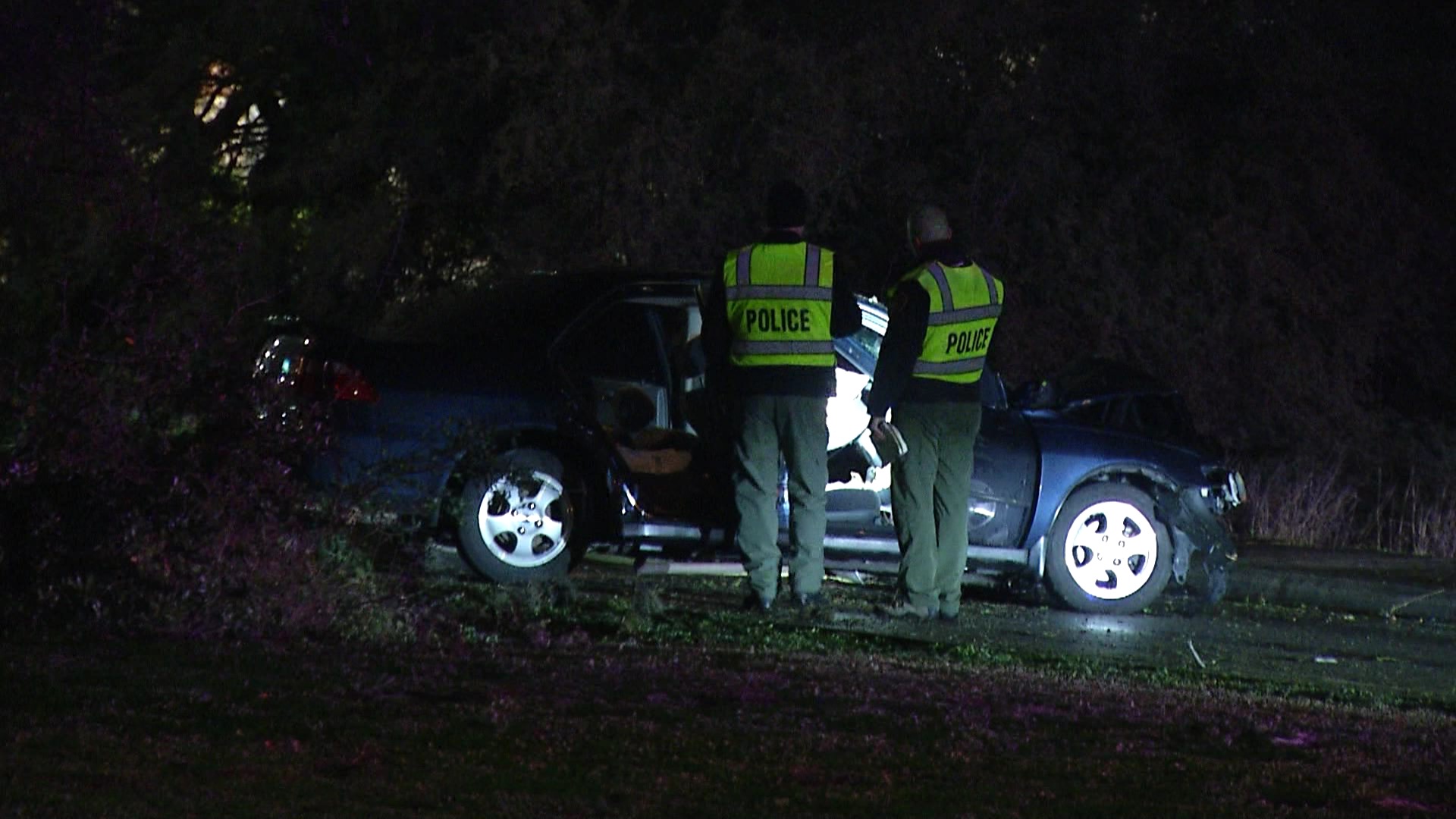 Elderly woman killed after crashing into a tree on the North Side
