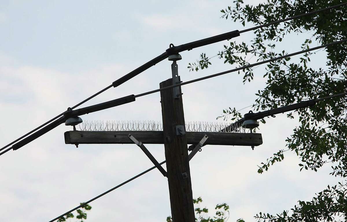 Power lines with "raptor guards" (conductor covers), that were retrofitted by CenterPoint Energy near the site of a bald eagle's nest, Thursday, March 29, 2012, in Baytown. At least seven bald eagles have died because of electrocution in East Texas over the past year. Power poles and lines are particularly attractive to birds, especially big birds of prey. The problem happens when wires with the potential to cause electrocution are placed too close together - within the distance of an eagle's wing span, for example. The deaths come as bald eagles, once endangered, are flourishing again and no longer in need of the protections of the federal Endangered Species Act. ( Karen Warren / Houston Chronicle )
