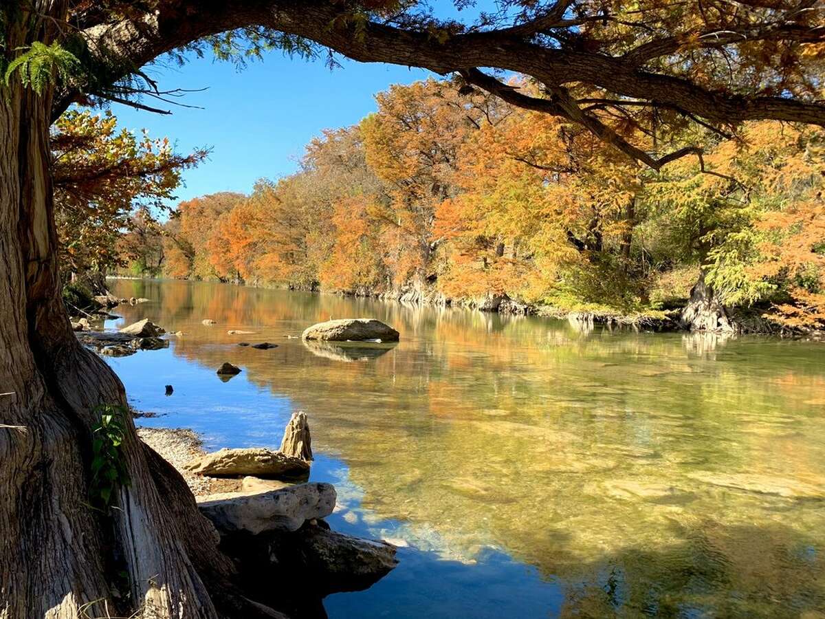 Guadalupe River State Park in Springs Branch, Texas, is an ideal place for checking out fall foliage in the Texas Hill Country.