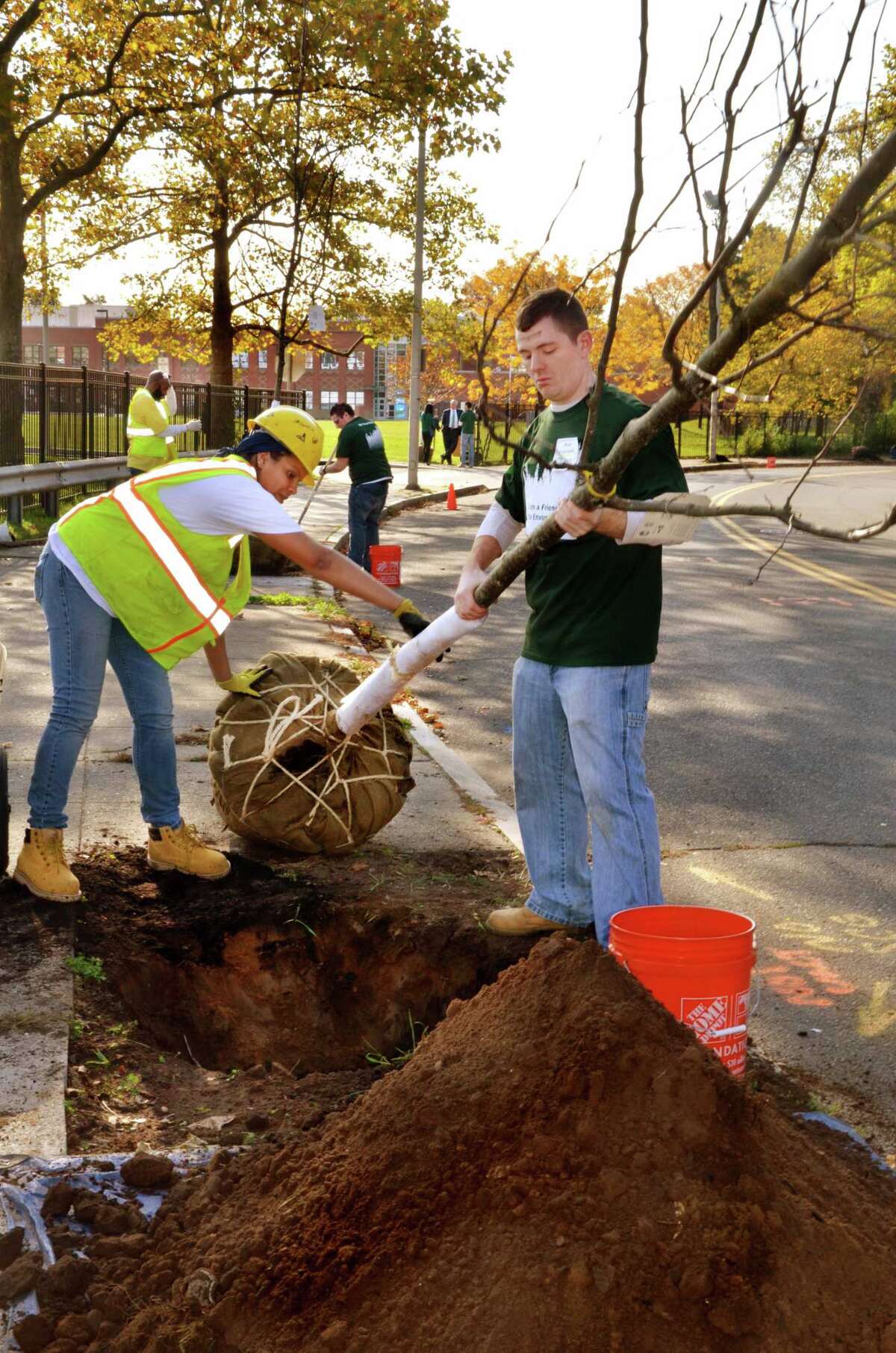 Tree removal along Connecticut highways unsightly, but necessary, DOT says