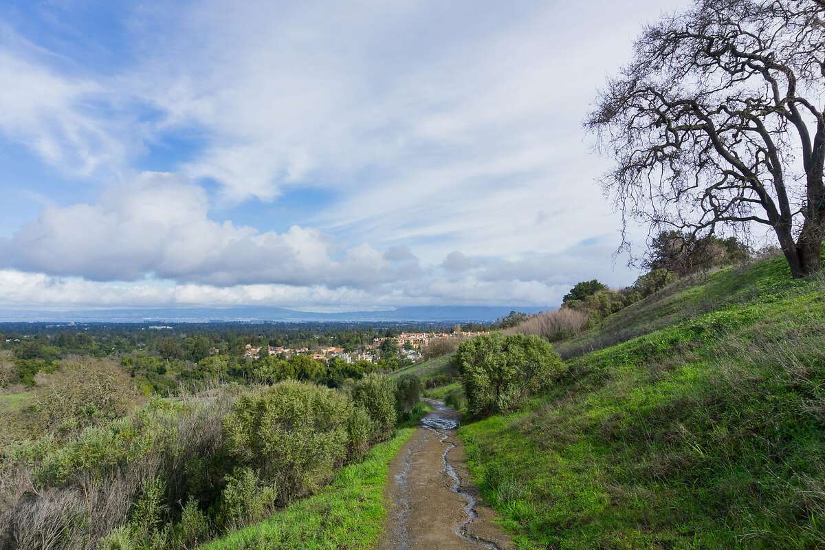 A panoramic view in Rancho San Antonio County Park in south San Francisco bay, Calif. A mountain lion attacked a 6-year-old girl Sunday while she was walking on a trail at the Rancho San Antonio County Park and Open Space Preserve in Cupertino. (Andrei Gabriel Stanescu/Dreamstime/TNS)