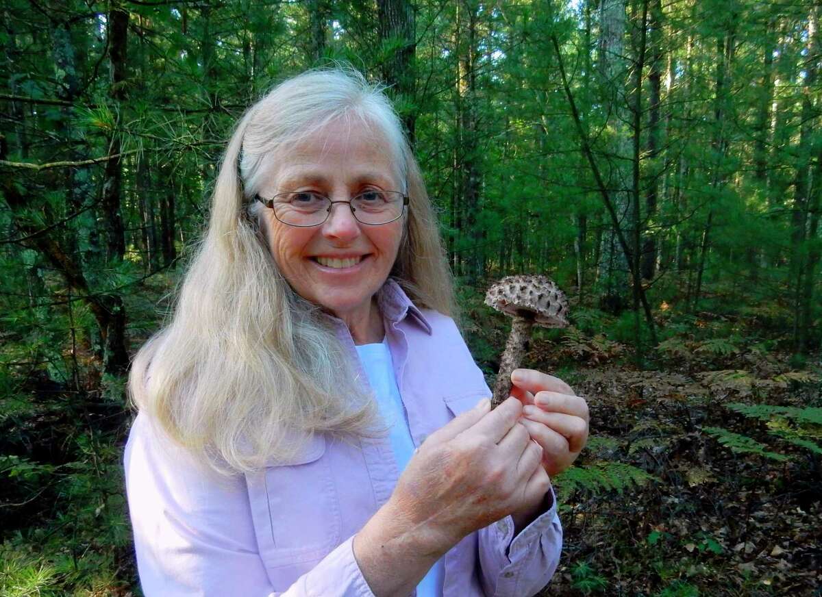 State-certified mushroom expert, Linda Scribner holds a late summer mushroom called "Old Man of the Woods." Scribner will showcase a variety of fungus specimens during the Vogue Theatre's showing of "Fantastic Fungi." (Courtesy Photo)