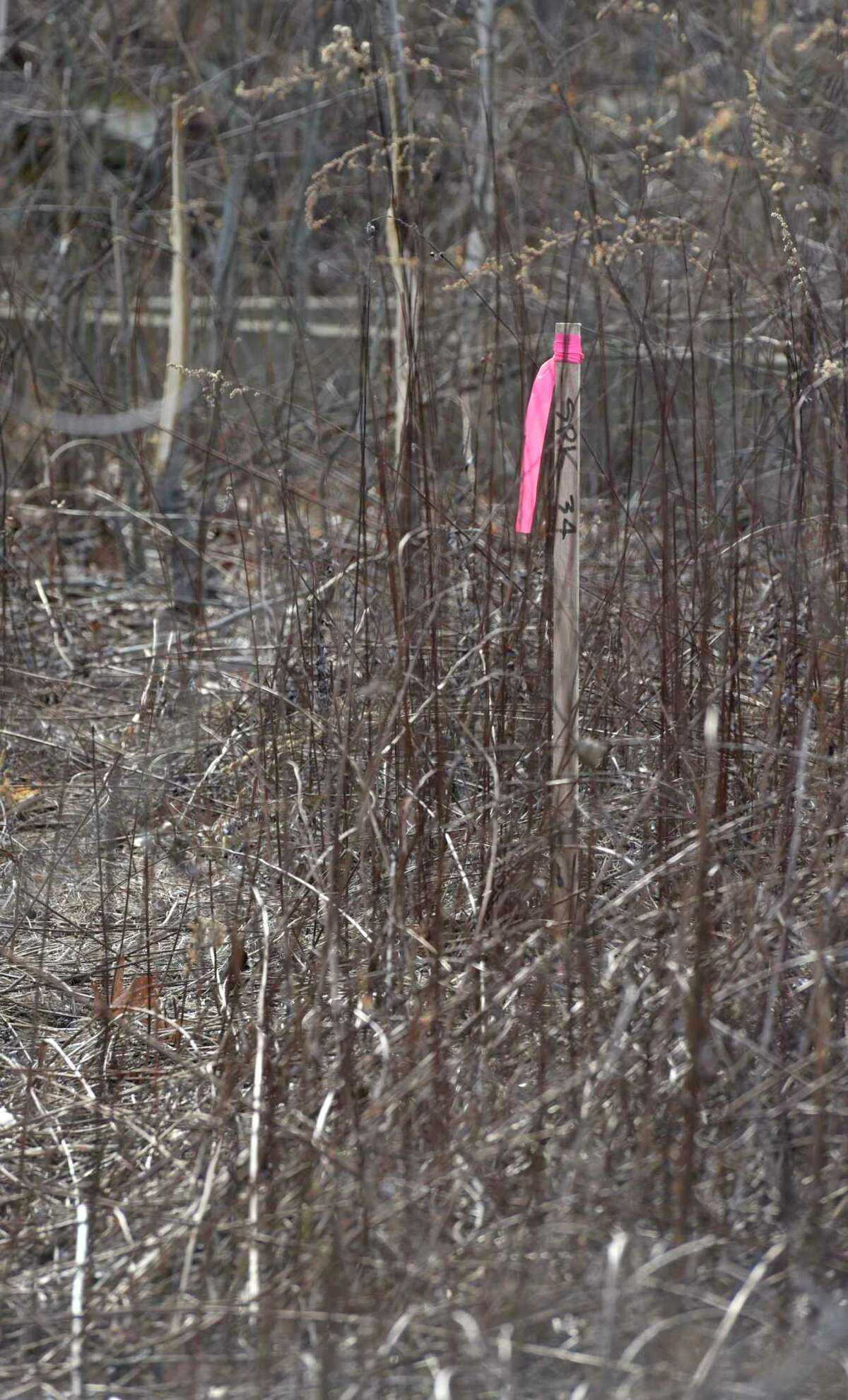 Danbury developer seeks zoning tweak to allow 55+ housing