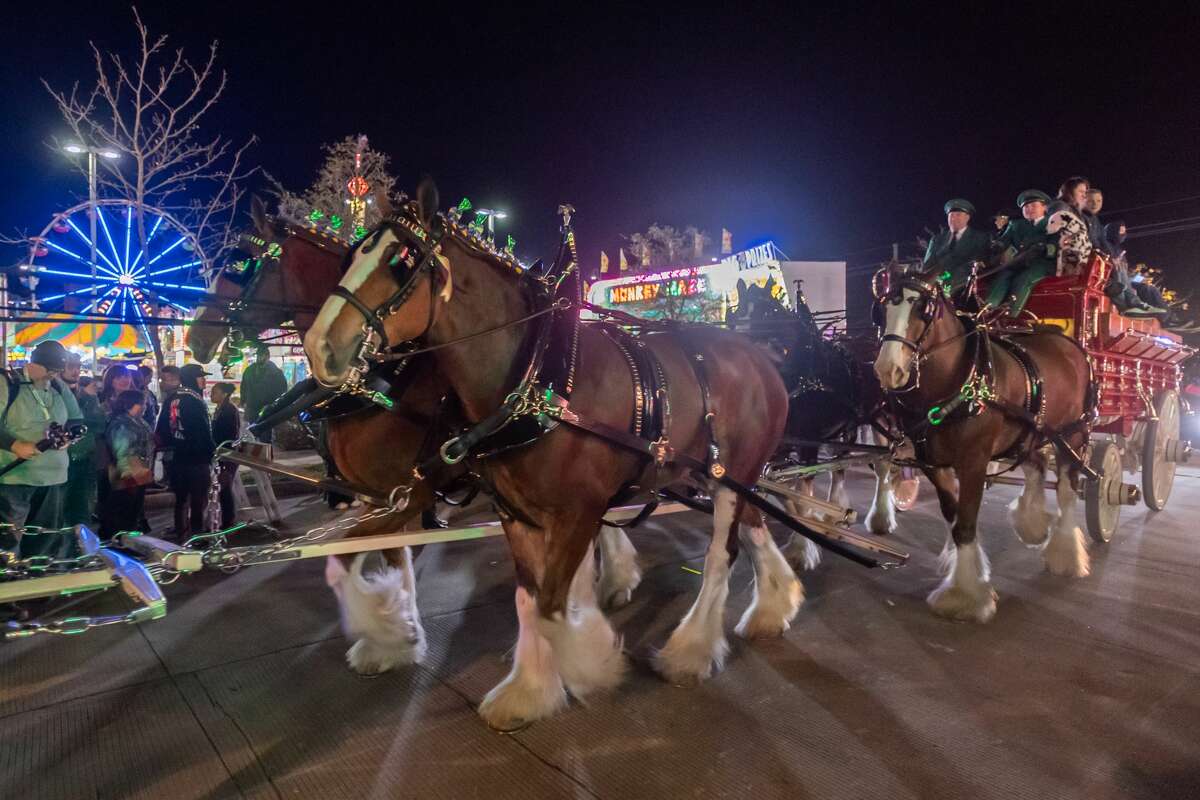 Photos Mardi Gras parade lights up downtown Beaumont