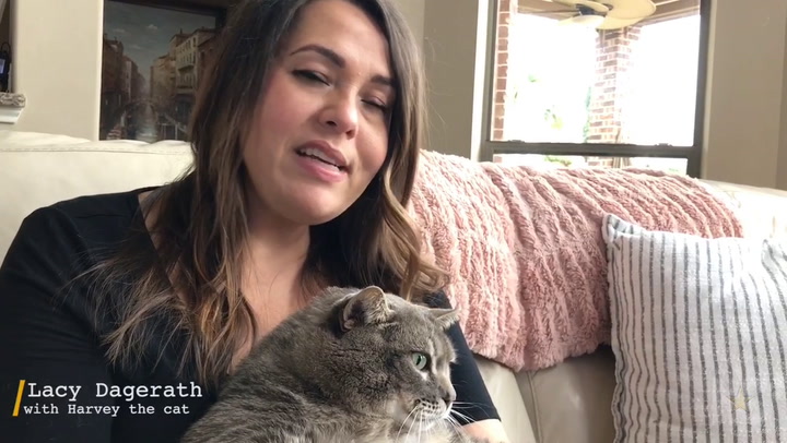 League City's Fat Cat Harvey has 57K Instagram followers. But at