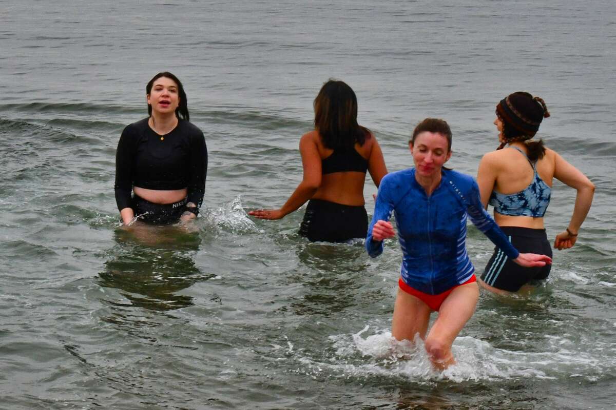 The University of Bridgeport School of Naturopathic Medicine held its 5th Annual Polar Plunge at Seaside Park in Bridgeport on February 25, 2020. Were you SEEN?