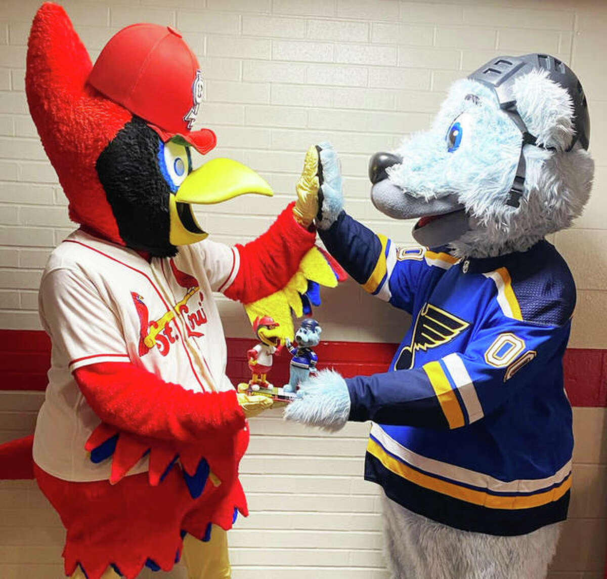 St. Louis Cardinals' mascot Fredbird (left) gives a high-five to St. Louis Blues' mascot, Louie, upon the release of their dual bobblehead.