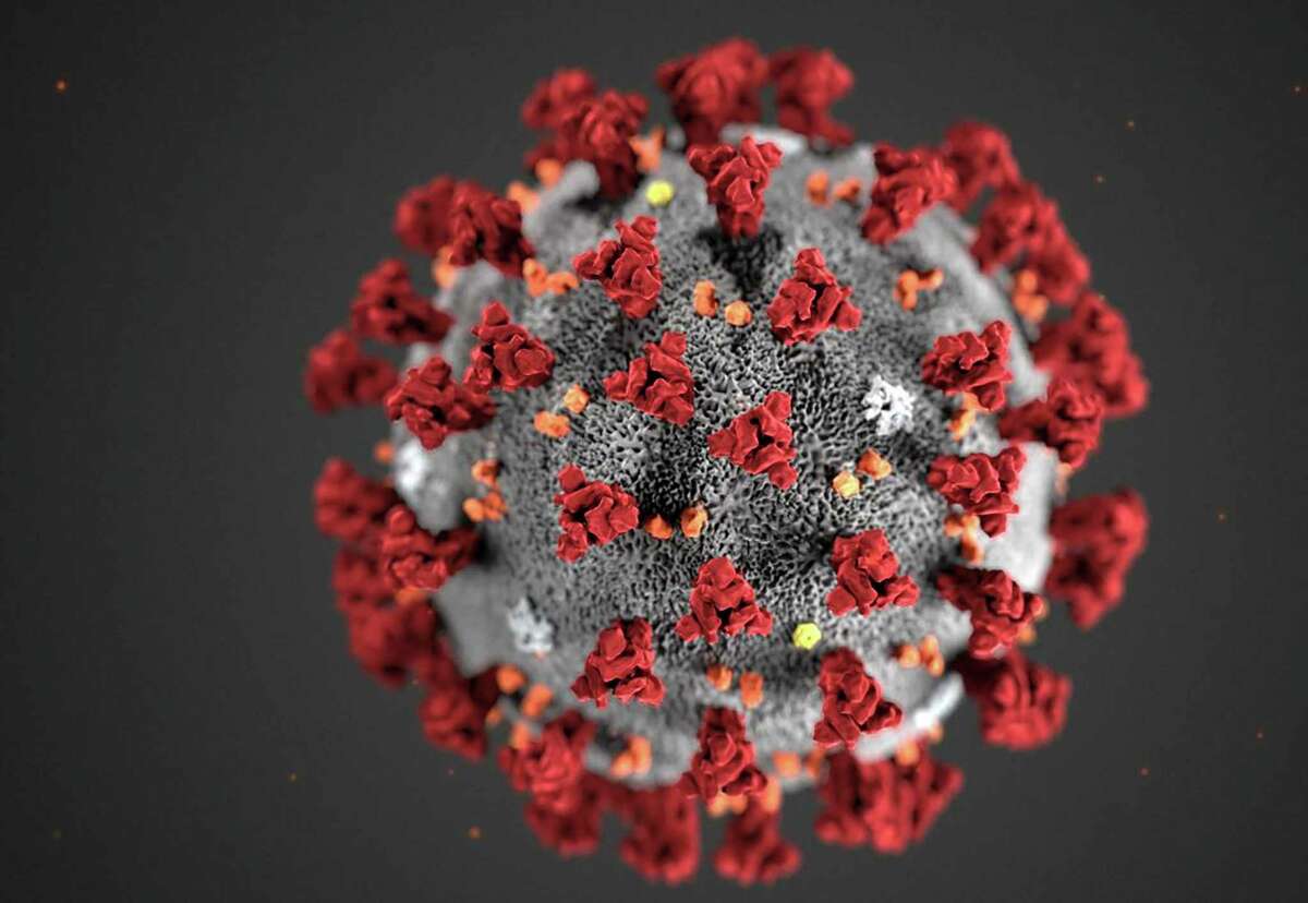(FILES) This file handout illustration image obtained February 3, 2020, courtesy of the Centers for Disease Control and Prevention, and created at the Centers for Disease Control and Prevention (CDC), reveals ultrastructural morphology exhibited by the novel coronavirus, COVID-19. - American health authorities said February 25, 2020 they ultimately expect the novel coronavirus to spread in the United States and are urging local governments, businesses, and schools to develop plans like canceling mass gatherings or switching to teleworking. The comments mark a significant escalation in the level of threat being conveyed to the US public and come amid fears of a pandemic, as the disease has taken root in several countries outside China, including Iran, Italy, Japan, Singapore, South Korea, Taiwan and Thailand. (Photo by Lizabeth MENZIES / Centers for Disease Control and Prevention / AFP) / RESTRICTED TO EDITORIAL USE - MANDATORY CREDIT "AFP PHOTO /CENTERS FOR DISEASE CONTROL AND PREVENTION/ALISSA ECKERT/HANDOUT " - NO MARKETING - NO ADVERTISING CAMPAIGNS - DISTRIBUTED AS A SERVICE TO CLIENTS (Photo by LIZABETH MENZIES/Centers for Disease Control and /AFP via Getty Images)