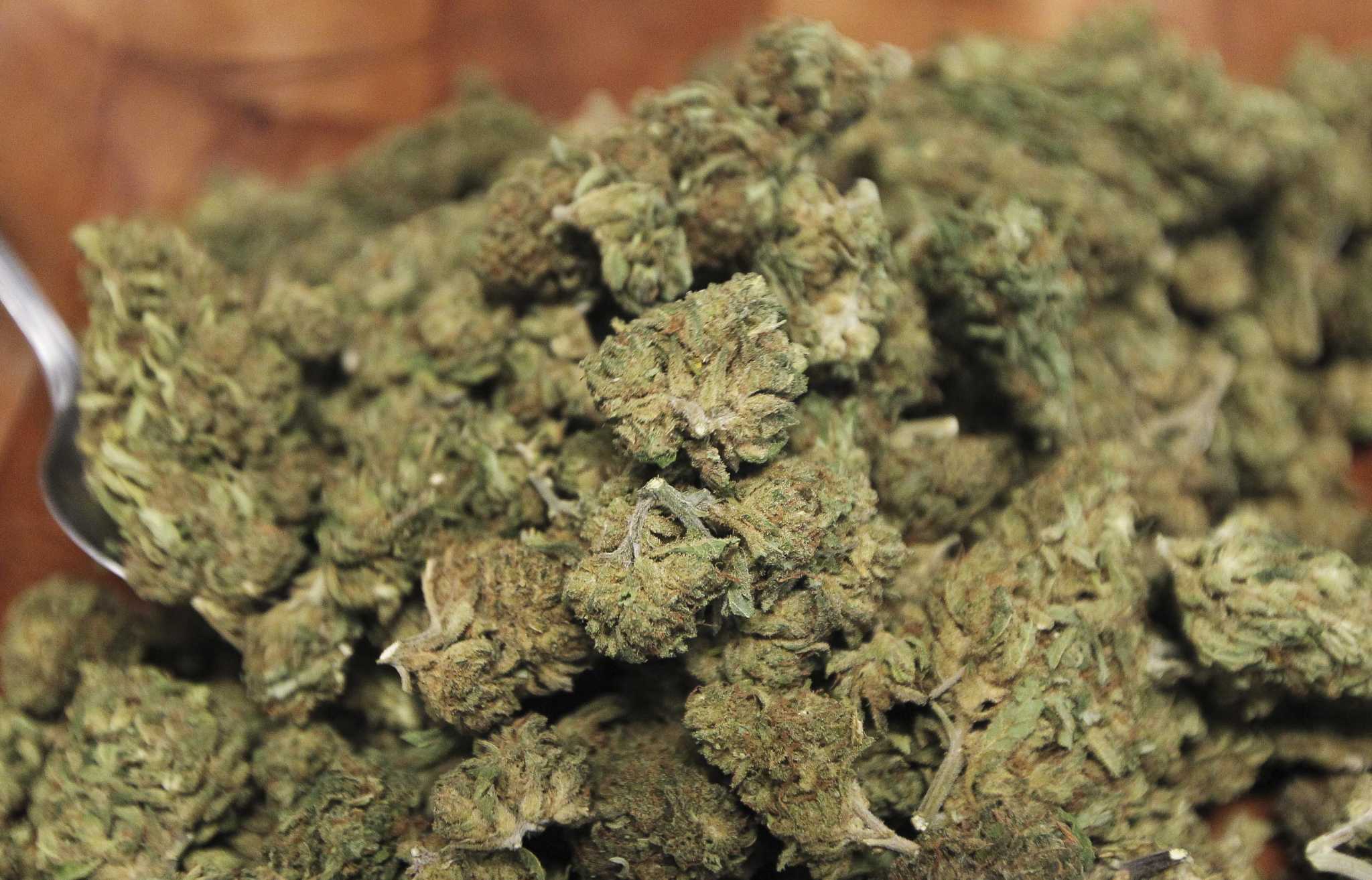 Legalize it!': Texas lawmakers begin pre-filing bills to decriminalize  marijuana in the state