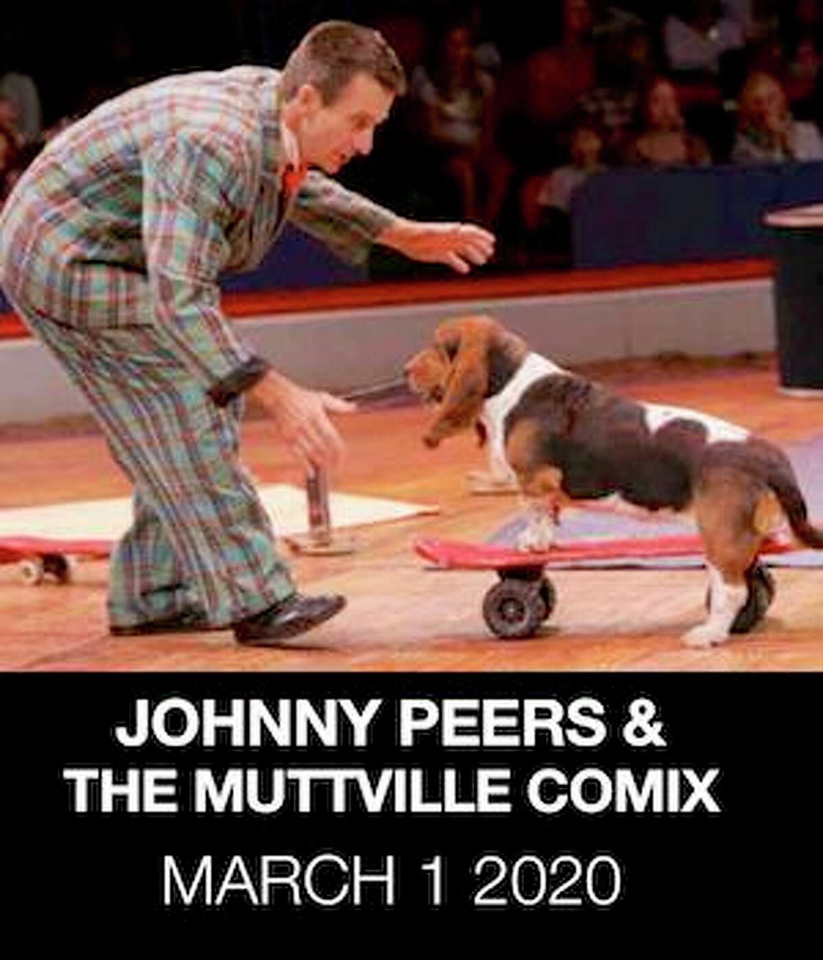 Johnny Peers and The Muttville Comix-Canine Comedy Adventure Show, at the Palace Danbury, on March 1, 1 p.m.