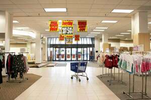 Humble sees sales tax rebound