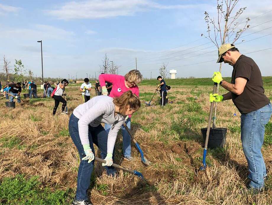 Sugar Land Parks and Recreation wins award for volunteer tree planting ...