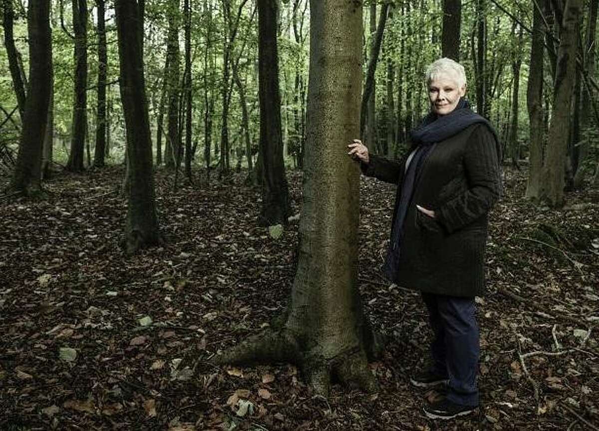 The Greenwich Tree Conservancy and Stamford’s Avon Theatre are co-hosting a screening of the documentary “Judi Dench: My Passion for Trees” at 7:30 p.m. March 4 with a post-film Q&A with New York Botanical Garden’s Todd A. Forrest. The Avon Theatre Film Center is 272 Bedford St., Stamford. Tickets are $14.50 non-members; $11 students, seniors; $9 members; free Carte Blanche members. Call 203-967-3660 or visit avontheatre.org for info.