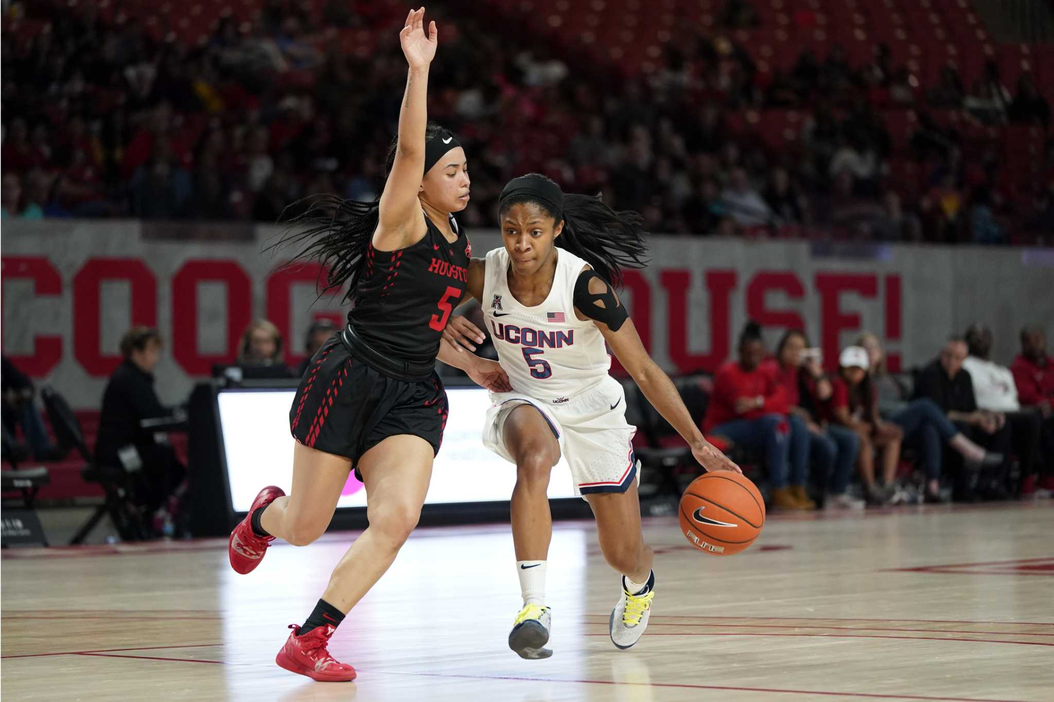 university of south florida women's basketball division