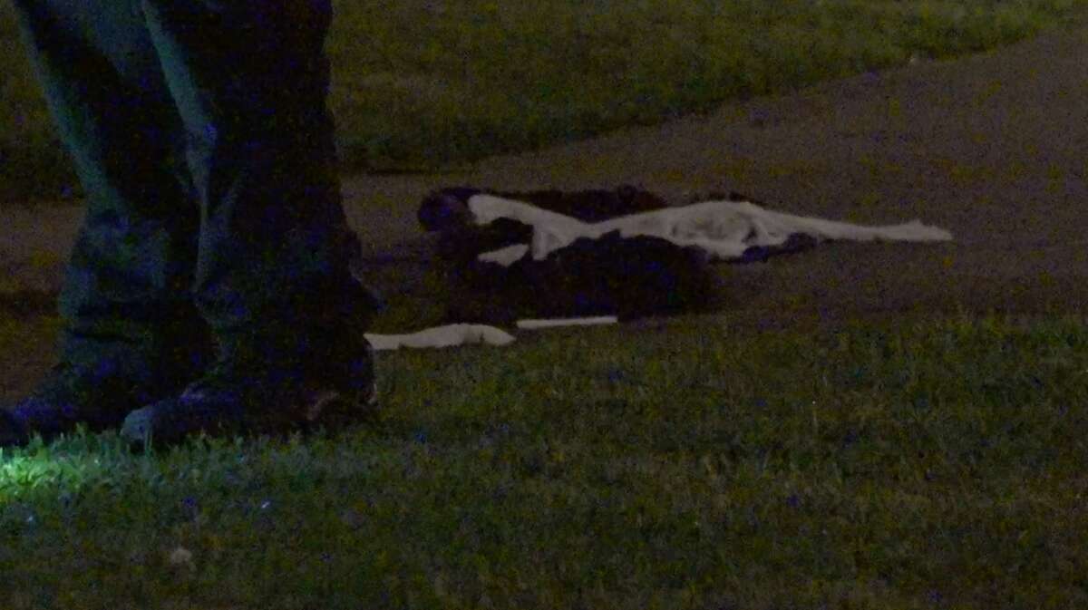 Neighbors find man shot, killed at east Houston apartment