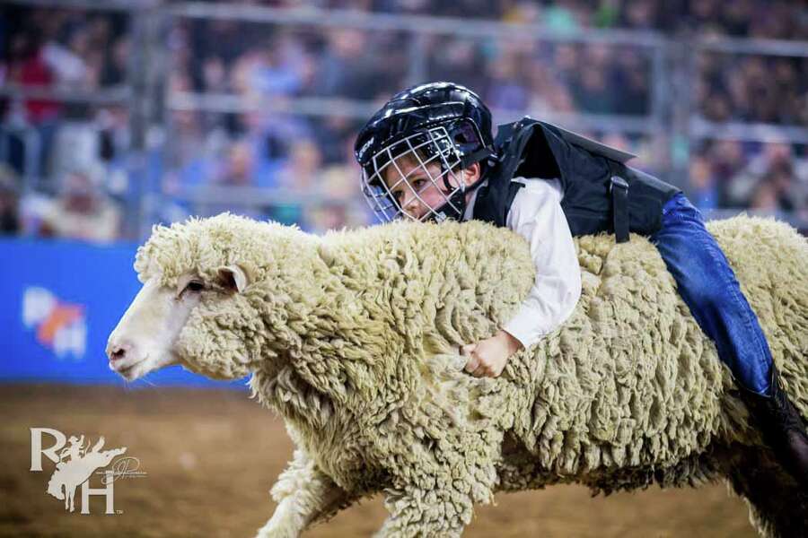 RodeoHouston’s mutton bustin’ competition puts the focus on kids