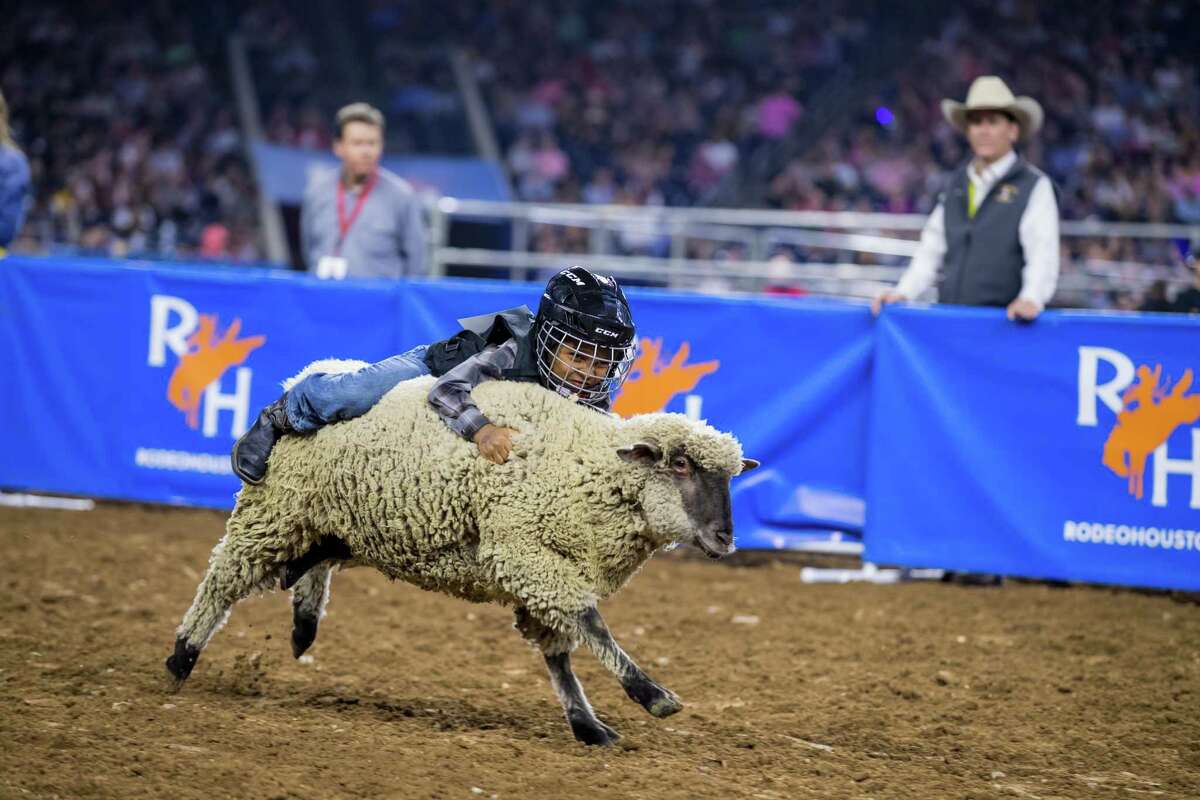 Mutton bustin' puts kids on the back of sheep at RodeoHouston