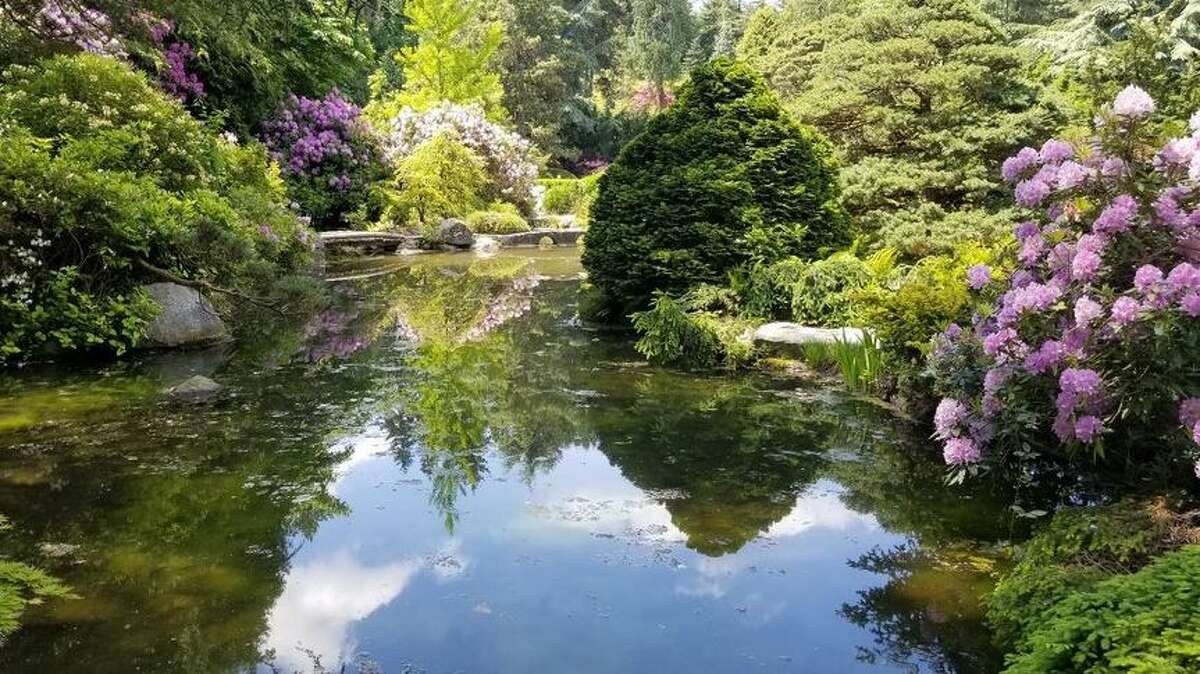 1. Kubota Gardens: Beautiful Japanese architecture is interlaced with peaceful streams, idyllic waterfalls and ponds in this hidden gem of a park which holds impactful history for Seattle's Japanese community. The high-arched moon bridge surrounded by blooming flowers makes for a photo-op that is both serene and perfect for spring.