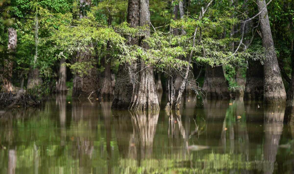 Houston schools need to visit Texas parks to let kids explore