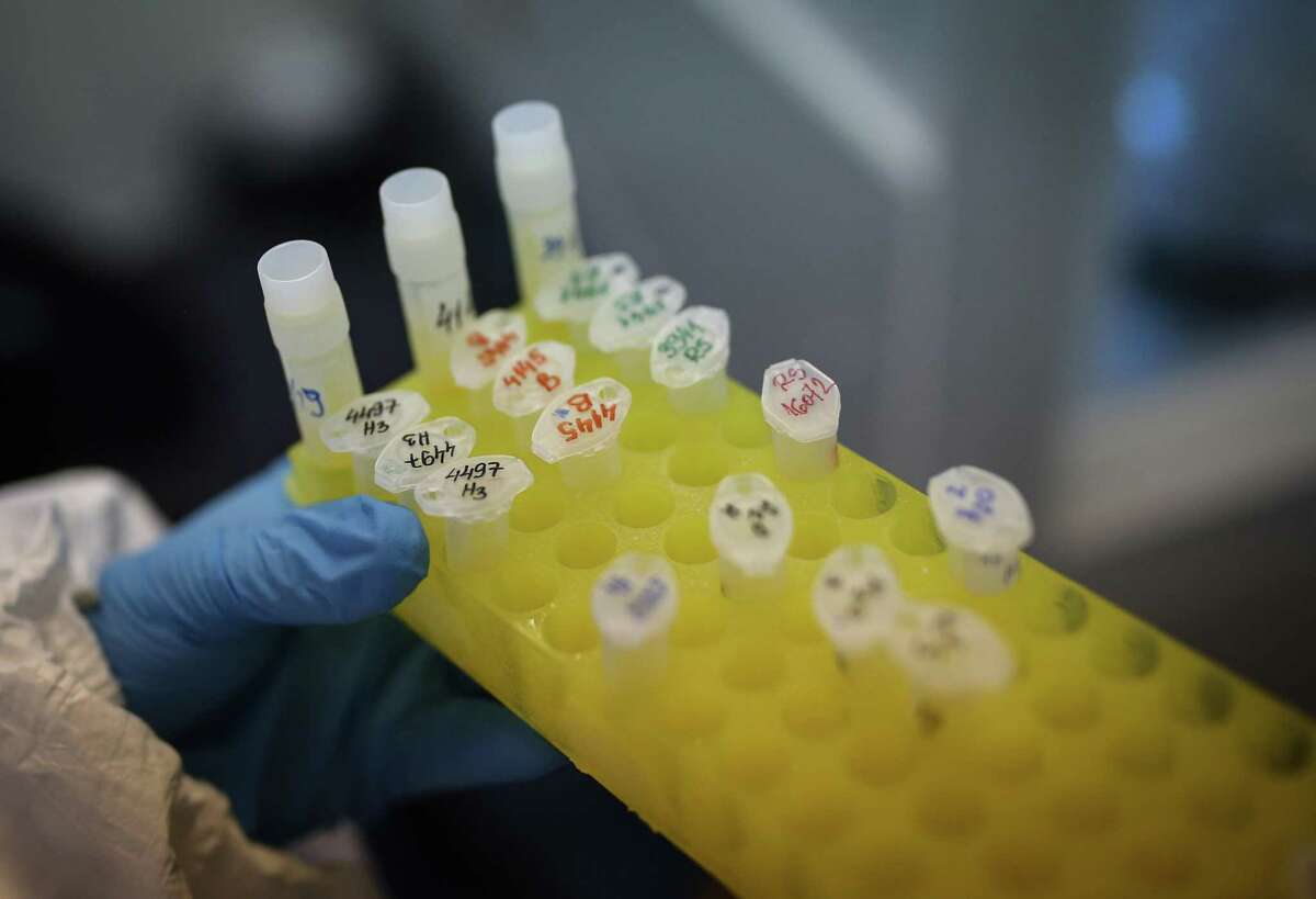 A laboratory technician collects vials of patient swabs during coronavirus detection testing at a laboratory in the Torlak Institute of Virology in Belgrade, Serbia, on Wednesday, March 4, 2020. With no treatment or vaccine against the coronavirus spreading from China, health authorities are relying on the kind of tools that have been used for centuries to limit or slow the spread of disease. Photographer: Oliver Bunic/Bloomberg