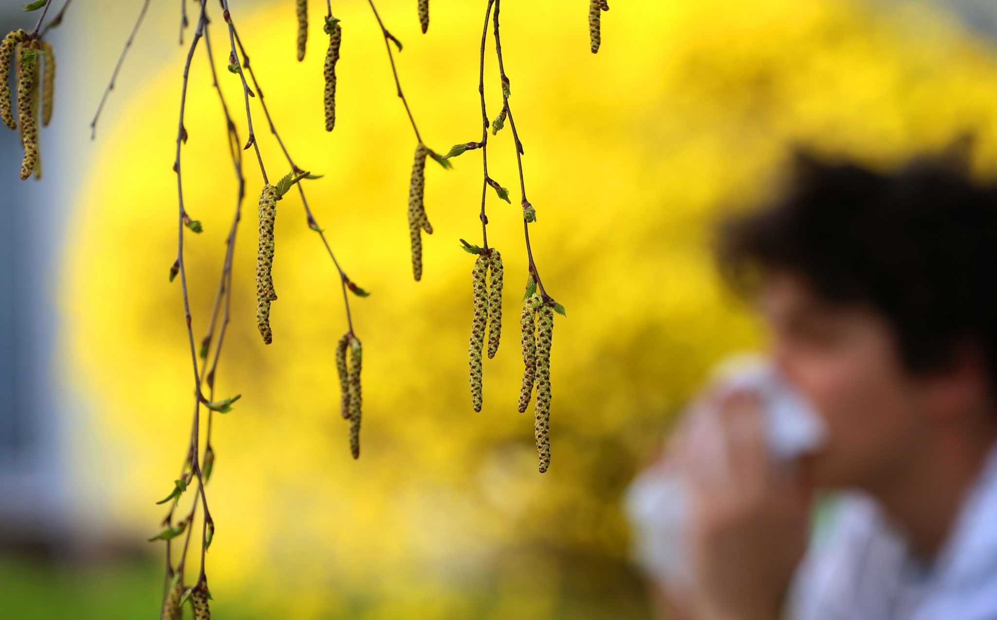 Houston ranked No. 1 for highest pollen counts in the country