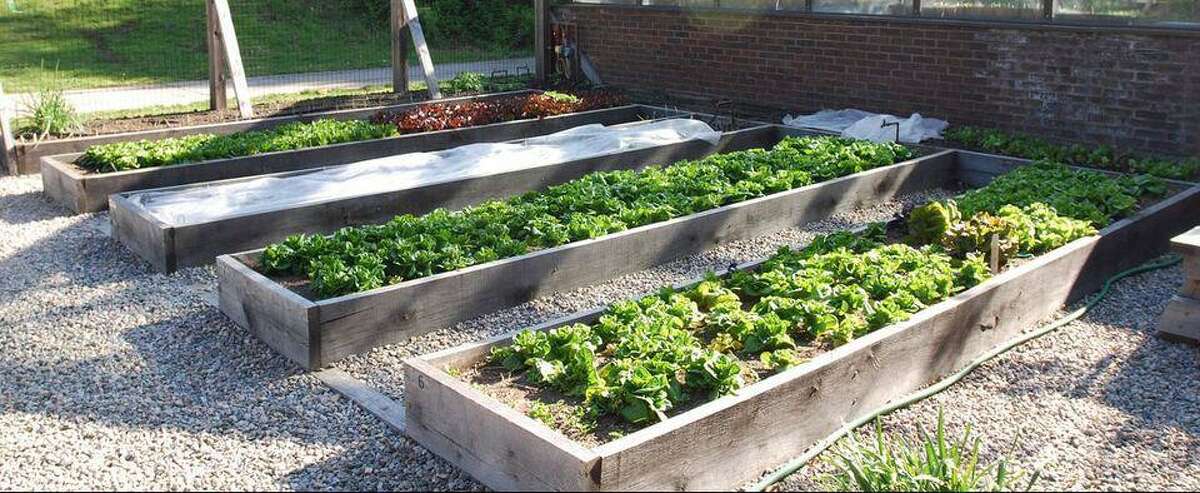 The Wilton High School Organic Garden will hold a pre-order native plant sale through April 24.
