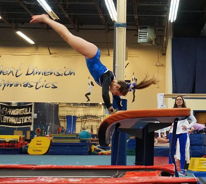 noni gymnastics equipment