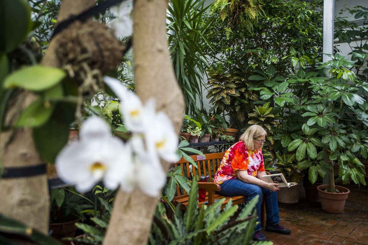 Dow Gardens to open conservatory late this summer