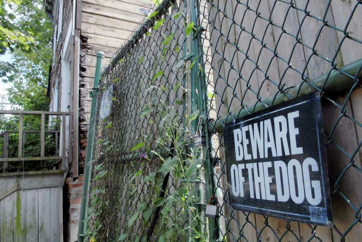 A view of the condemned building at 198 Orange St. in Albany, NY on Tuesday, Aug. 17, 2010. Some 90 cats have been removed from this building over the past few months. (Paul Buckowski / Times Union)