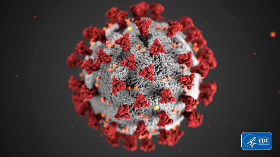 This illustration, created at the Centers for Disease Control and Prevention (CDC), reveals ultrastructural morphology exhibited by coronaviruses. Note the spikes that adorn the outer surface of the virus, which impart the look of a corona surrounding the virion, when viewed electron microscopically. A novel coronavirus, named Severe Acute Respiratory Syndrome coronavirus 2 (SARS-CoV-2), was identified as the cause of an outbreak of respiratory illness first detected in Wuhan, China in 2019. The illness caused by this virus has been named coronavirus disease 2019 (COVID-19). Photo: Centers For Disease Control And Prevention