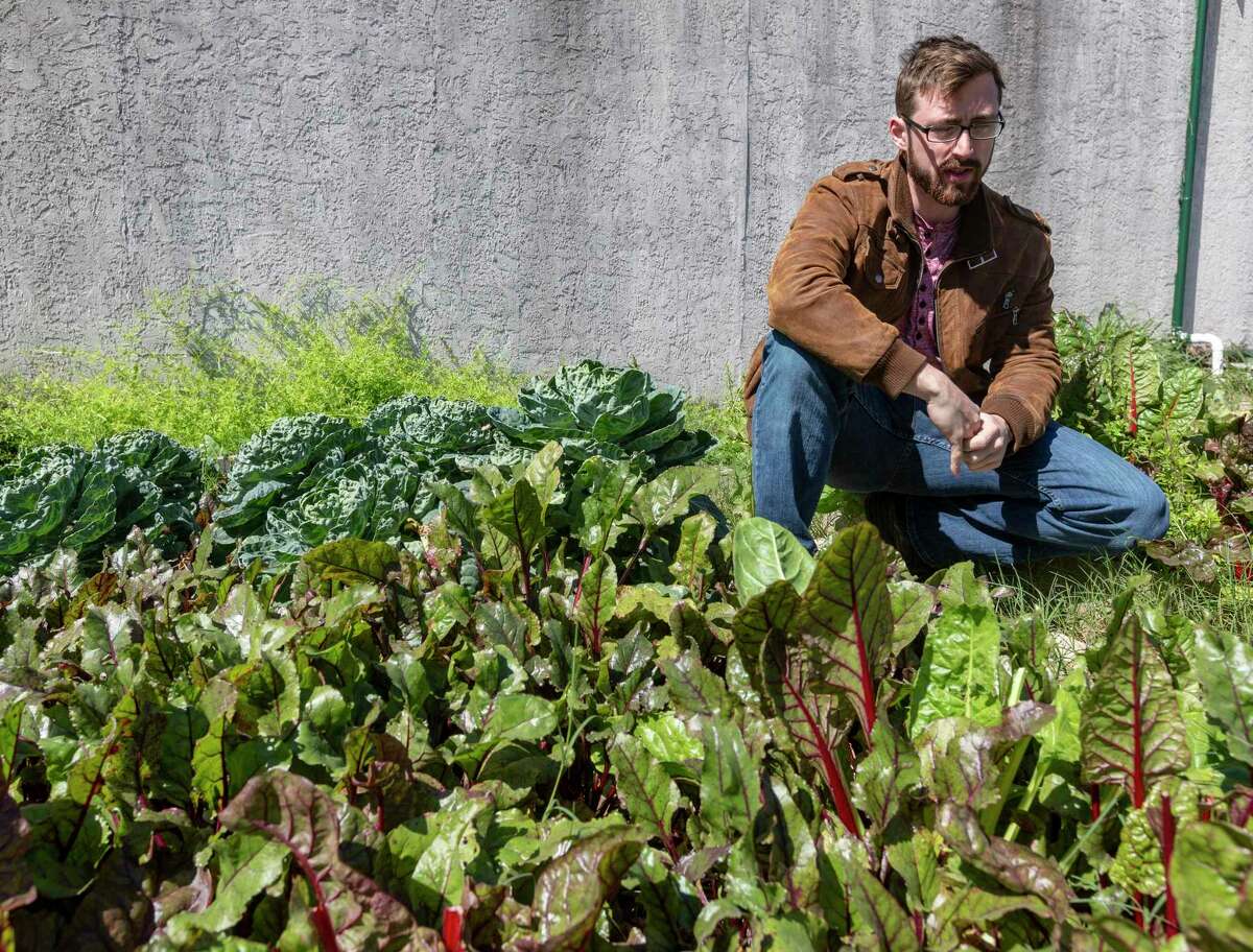 Entrepreneur Mitch Hagney is seen with some of the root vegetables he’s growing at his Local Sprouts Food Hub warehouse on the near East Side.