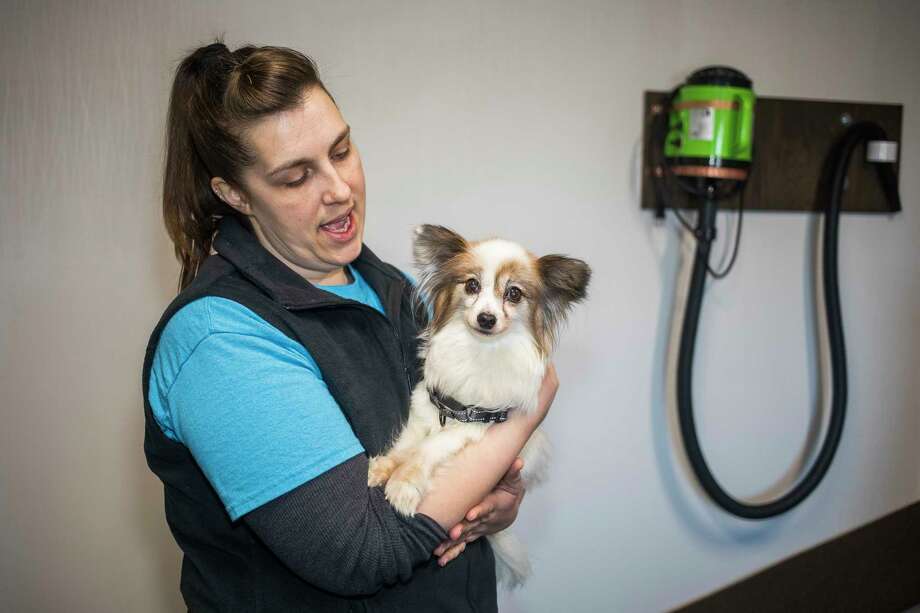 New dog grooming shop comes to Midland's circle - Midland ...