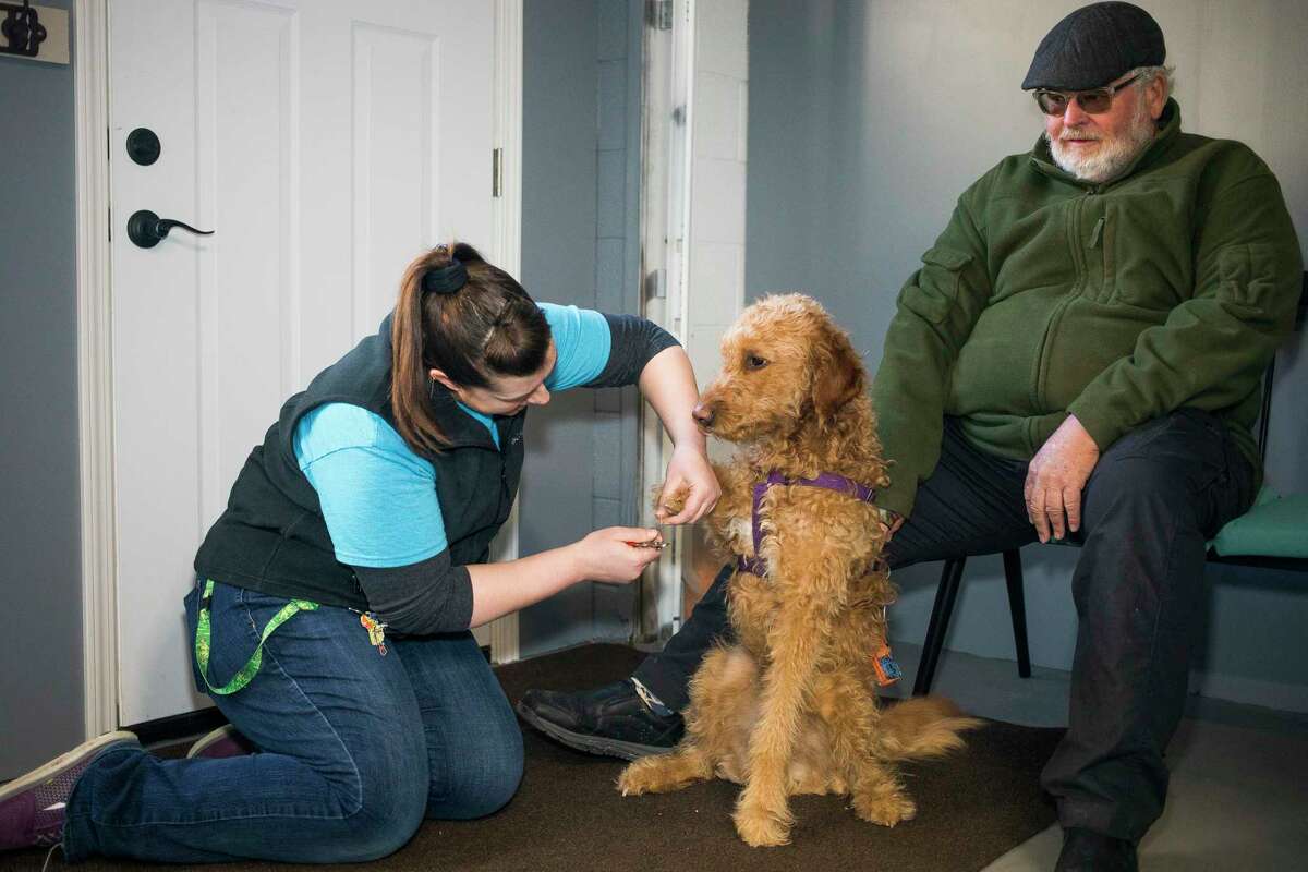 New dog grooming shop comes to Midland's circle