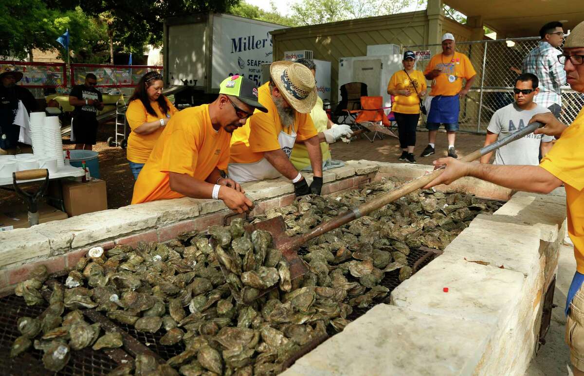 Volunteers prepare oysters during the 2019 Fiesta Oyster Bake. Attendees consume about 100,000 of the bivalves during the two-day event