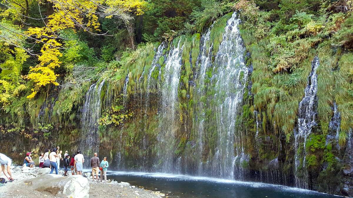 are dogs allowed in reddings waterfall loop