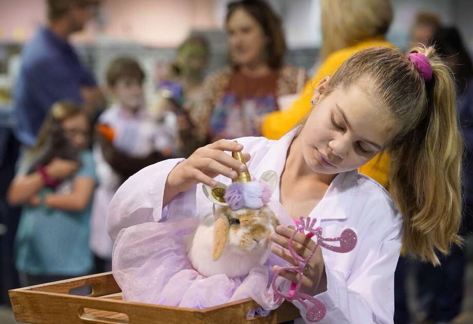 Houston Rodeo Costumes RodeoHouston's rabbit costume contest grows in popularity, exhibitors ...