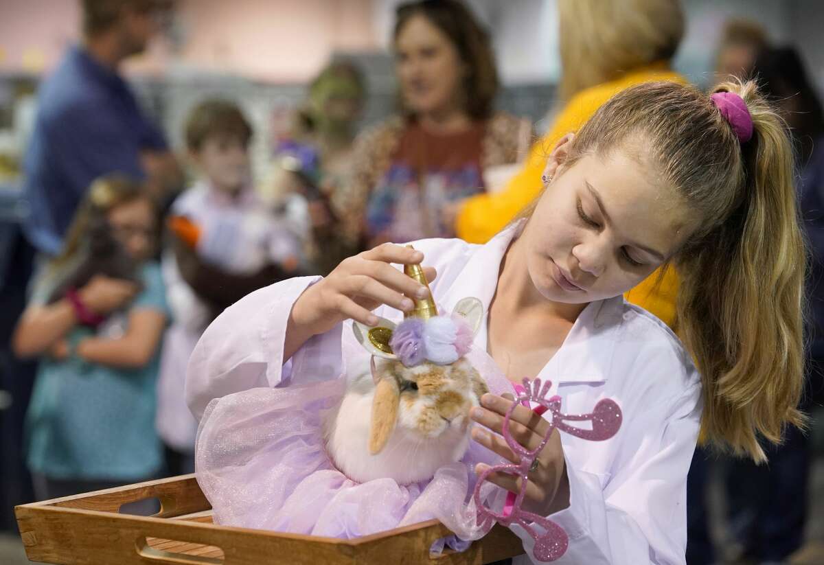 Raegan Neu, 12, of Gainesville waits with her rabbit, Bella, to participate in the Youth Rabbit & Cavy Show Costume Contest in the NRG Arena at the Houston Livestock Show and Rodeo Monday, March 9, 2020, in Houston. Her entry was titled Barbie Showgirl.
