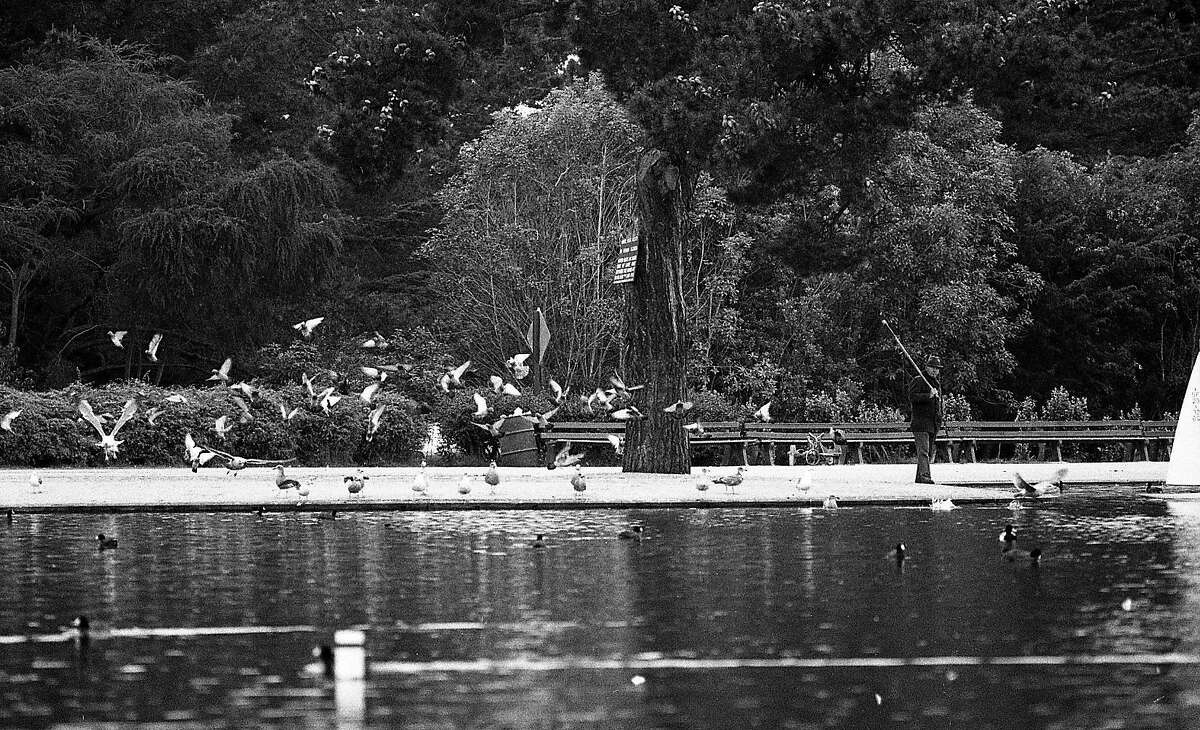 Golden Gate Park at 150: Archive photos of San Francisco at rest and ...